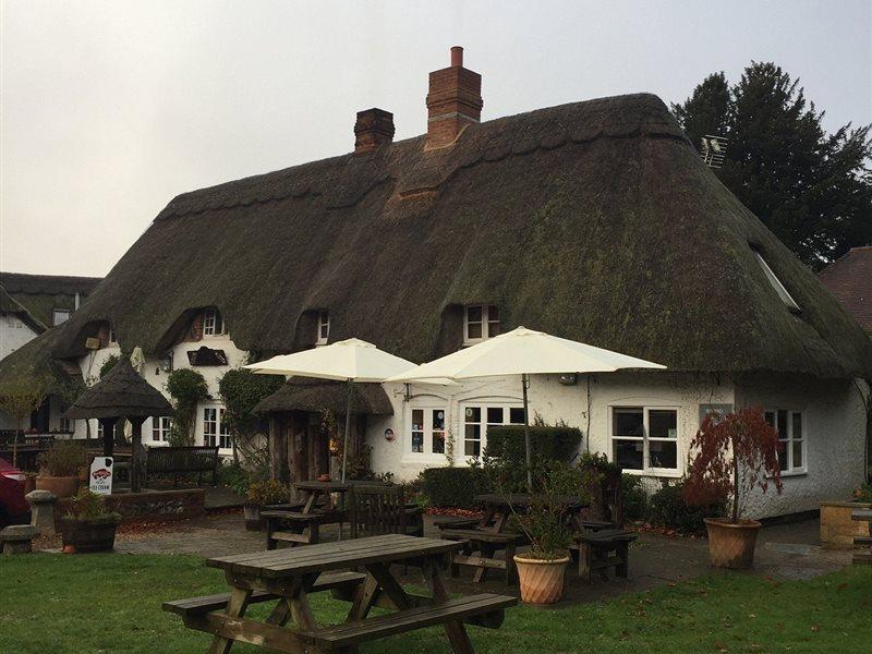 The Hatchet Inn Chute 외부 사진