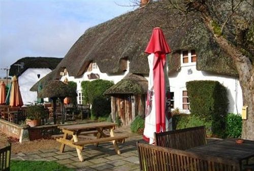 The Hatchet Inn Chute 외부 사진